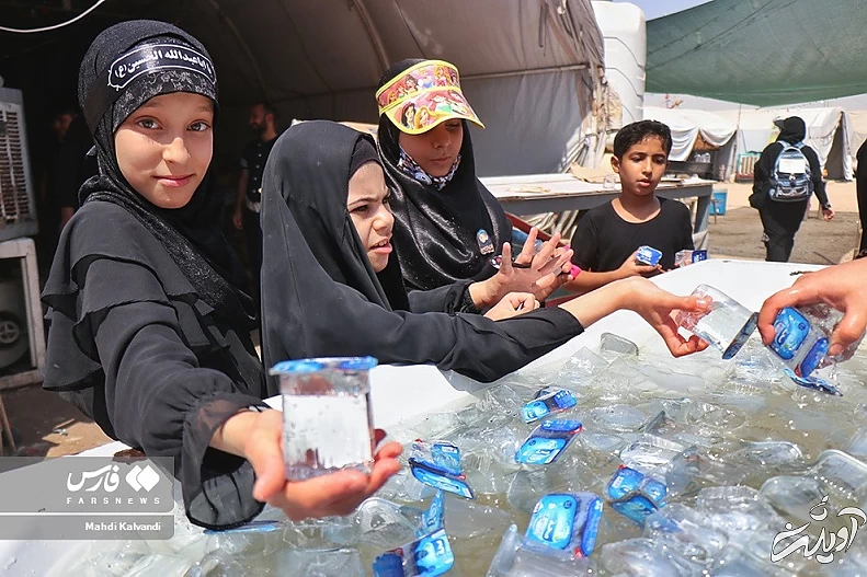 (تصاویر) بفرما «مای بارِدْ»